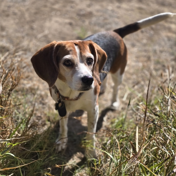 Meet your Posher, Jay - Picture 4 of 4